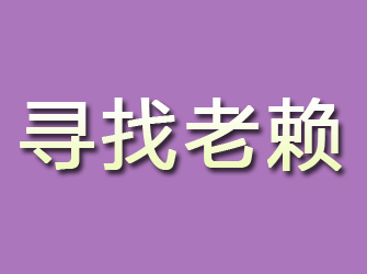 秦安寻找老赖